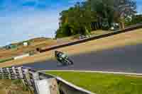 Green Bikes
